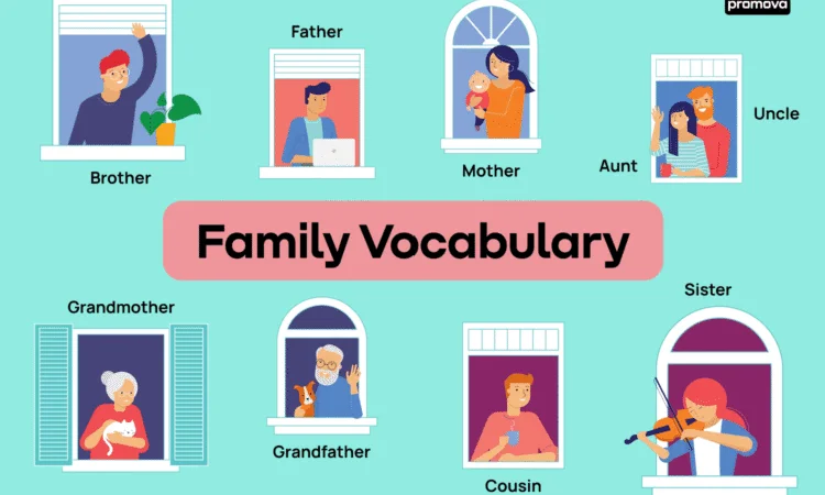 From Novice to Expert: How Online English Vocabulary Classes Can Change Your Language Skills